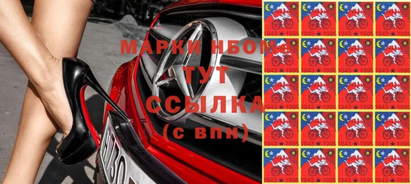 прущие грибы Дмитров