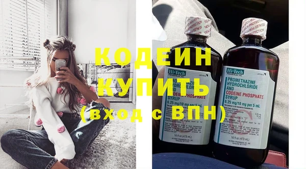 прущие грибы Дмитров