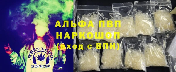 прущие грибы Дмитров