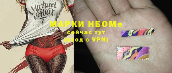 прущие грибы Дмитров
