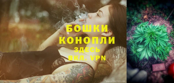 прущие грибы Дмитров