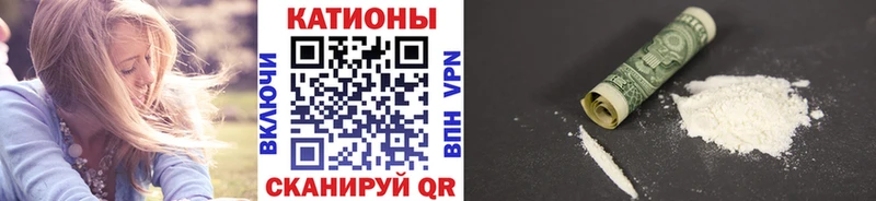Купить закладки  Пошехонье  МЕФ мяу мяу 