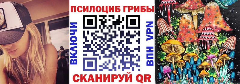 Купить  Пошехонье  Галлюциногенные грибы мицелий 